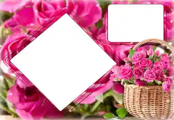 범주에서의 사진 효과 여성 프레임 № 157091