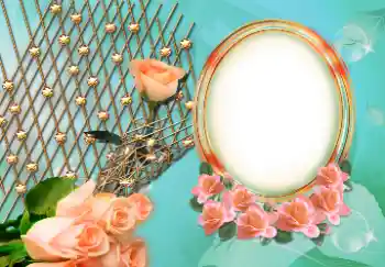 범주에서의 사진 효과 여성 프레임 № 157126