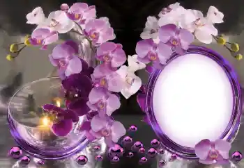 범주에서의 사진 효과 여성 프레임 № 157222