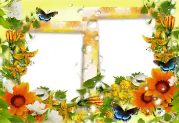 범주에서의 사진 효과 여성 프레임 № 158241