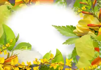 범주에서의 사진 효과 여성 프레임 № 158274