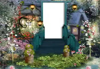 범주에서의 사진 효과 여성 프레임 № 158279