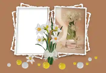 범주에서의 사진 효과 여성 프레임 № 158348