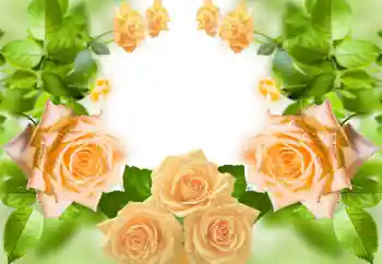 범주에서의 사진 효과 여성 프레임 № 158383