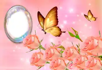 범주에서의 사진 효과 여성 프레임 № 158388