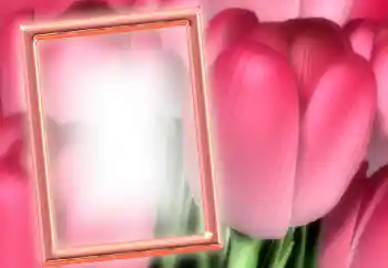 범주에서의 사진 효과 여성 프레임 № 15899