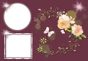 범주에서의 사진 효과 여성 프레임 № 159513