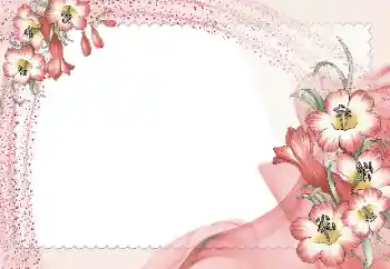 범주에서의 사진 효과 여성 프레임 № 15965