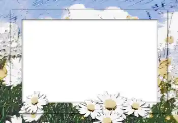 범주에서의 사진 효과 여성 프레임 № 16006