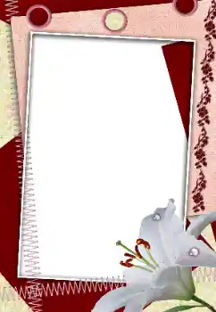 범주에서의 사진 효과 여성 프레임 № 160618