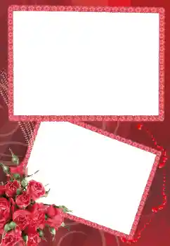 범주에서의 사진 효과 여성 프레임 № 160689