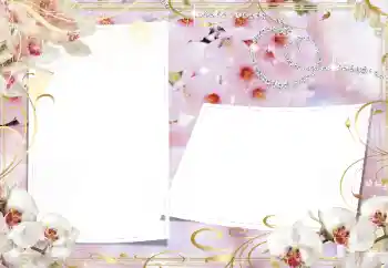 범주에서의 사진 효과 여성 프레임 № 160739