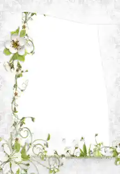 범주에서의 사진 효과 여성 프레임 № 160795