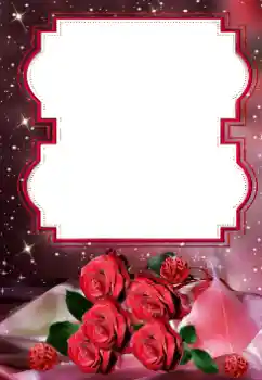 범주에서의 사진 효과 여성 프레임 № 160838