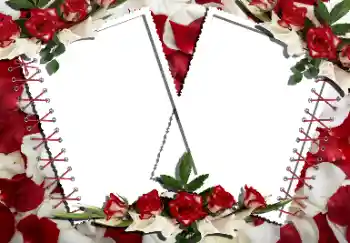 범주에서의 사진 효과 여성 프레임 № 160866