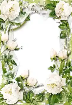 범주에서의 사진 효과 여성 프레임 № 1611