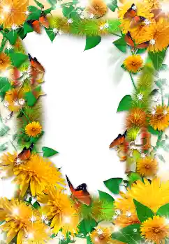 범주에서의 사진 효과 여성 프레임 № 1612