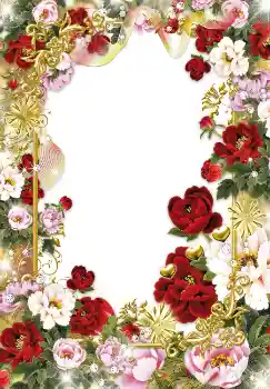 범주에서의 사진 효과 여성 프레임 № 1613