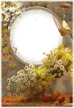 범주에서의 사진 효과 여성 프레임 № 161952