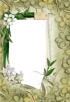 범주에서의 사진 효과 여성 프레임 № 161971