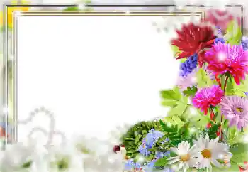 범주에서의 사진 효과 여성 프레임 № 162006