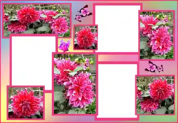 범주에서의 사진 효과 여성 프레임 № 162009