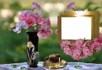 범주에서의 사진 효과 여성 프레임 № 162076