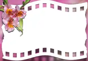 범주에서의 사진 효과 여성 프레임 № 163337 범주에서의 사진 효과 여성 프레임 № 163337