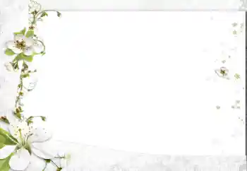 범주에서의 사진 효과 여성 프레임 № 163602 범주에서의 사진 효과 여성 프레임 № 163602