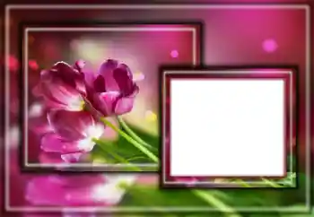 범주에서의 사진 효과 여성 프레임 № 164601 범주에서의 사진 효과 여성 프레임 № 164601