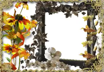 범주에서의 사진 효과 여성 프레임 № 164786 범주에서의 사진 효과 여성 프레임 № 164786