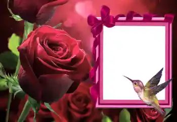 범주에서의 사진 효과 여성 프레임 № 166111 범주에서의 사진 효과 여성 프레임 № 166111