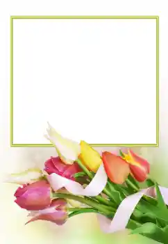 범주에서의 사진 효과 여성 프레임 № 166153 범주에서의 사진 효과 여성 프레임 № 166153