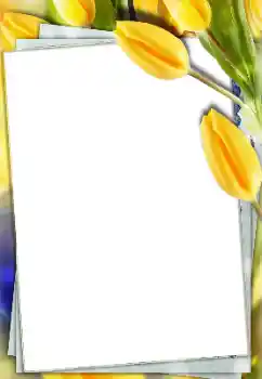 범주에서의 사진 효과 여성 프레임 № 166167 범주에서의 사진 효과 여성 프레임 № 166167