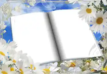 범주에서의 사진 효과 여성 프레임 № 166181