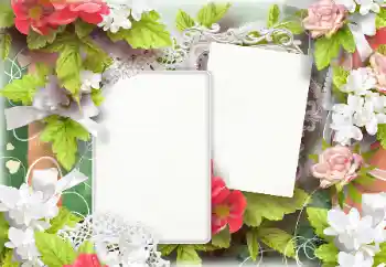 범주에서의 사진 효과 여성 프레임 № 166236