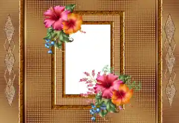 범주에서의 사진 효과 여성 프레임 № 166245