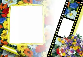 범주에서의 사진 효과 여성 프레임 № 166315 범주에서의 사진 효과 여성 프레임 № 166315