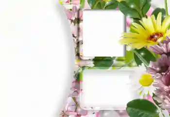 범주에서의 사진 효과 여성 프레임 № 166607 범주에서의 사진 효과 여성 프레임 № 166607