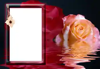 범주에서의 사진 효과 여성 프레임 № 166641 범주에서의 사진 효과 여성 프레임 № 166641