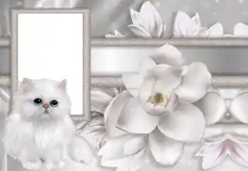 범주에서의 사진 효과 여성 프레임 № 167744 범주에서의 사진 효과 여성 프레임 № 167744