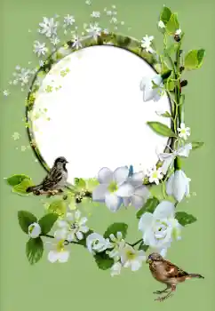 범주에서의 사진 효과 여성 프레임 № 167829 범주에서의 사진 효과 여성 프레임 № 167829