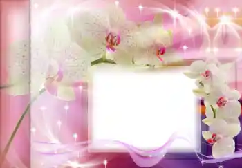 범주에서의 사진 효과 여성 프레임 № 167835 범주에서의 사진 효과 여성 프레임 № 167835