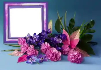 범주에서의 사진 효과 여성 프레임 № 167856 범주에서의 사진 효과 여성 프레임 № 167856