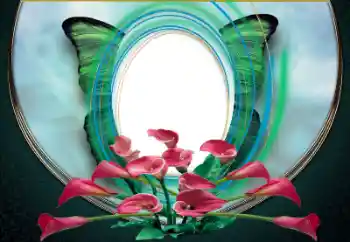 범주에서의 사진 효과 여성 프레임 № 167874 범주에서의 사진 효과 여성 프레임 № 167874