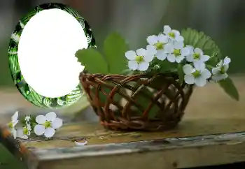 범주에서의 사진 효과 여성 프레임 № 167999 범주에서의 사진 효과 여성 프레임 № 167999