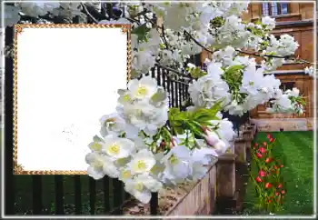 범주에서의 사진 효과 여성 프레임 № 169025 범주에서의 사진 효과 여성 프레임 № 169025