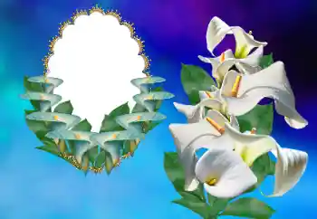 범주에서의 사진 효과 여성 프레임 № 169156 범주에서의 사진 효과 여성 프레임 № 169156