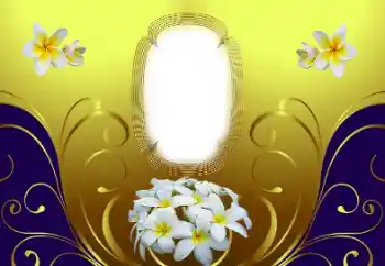 범주에서의 사진 효과 여성 프레임 № 169210 범주에서의 사진 효과 여성 프레임 № 169210