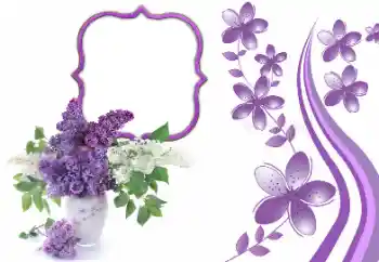 범주에서의 사진 효과 여성 프레임 № 169273 범주에서의 사진 효과 여성 프레임 № 169273